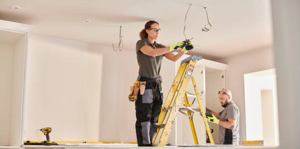 Best Electric Panel Repair  in Torrington, WY